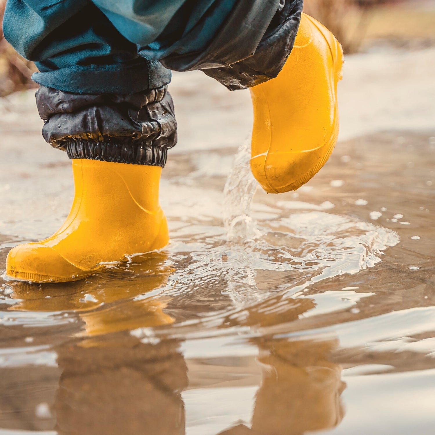 Immunsystem: Verstehe deinen körpereigenen Schutz
