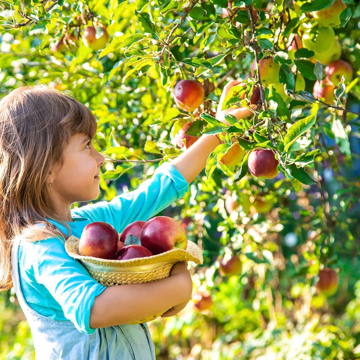 Vitamin D Magazin Nature's Way