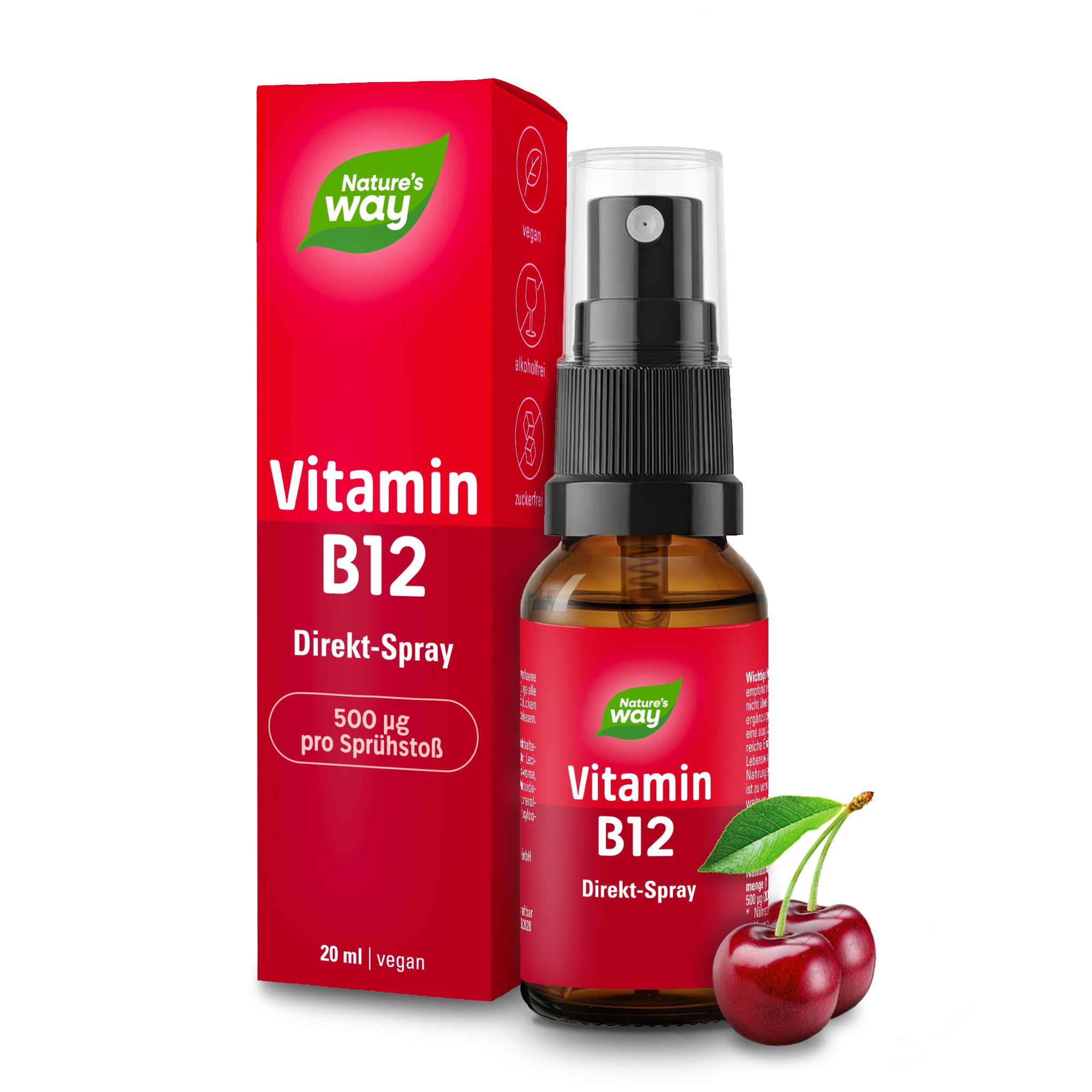 Vitamin B12 Spray Nature's Way