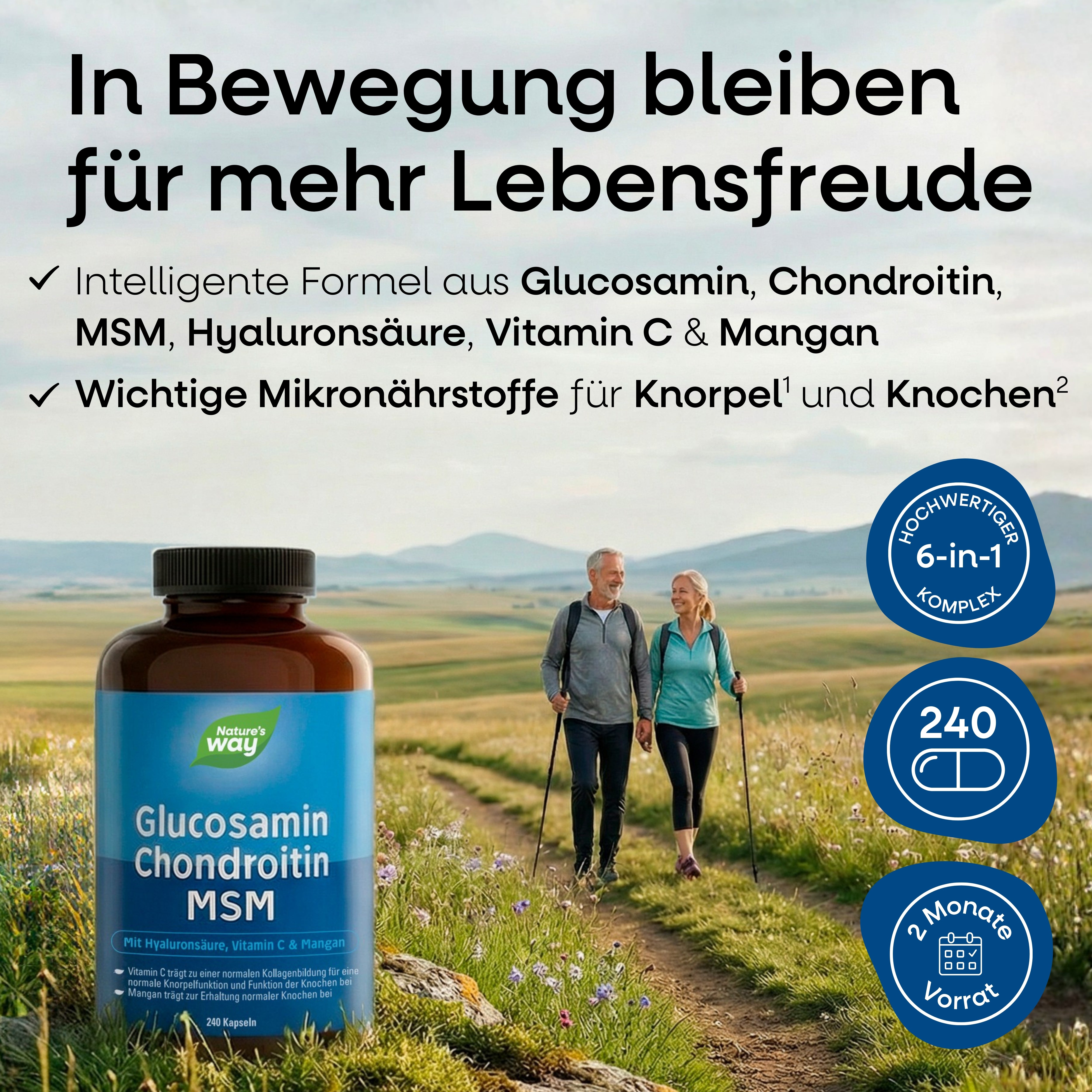 Glucosamin Chondroitin MSM Kapseln Nature's Way