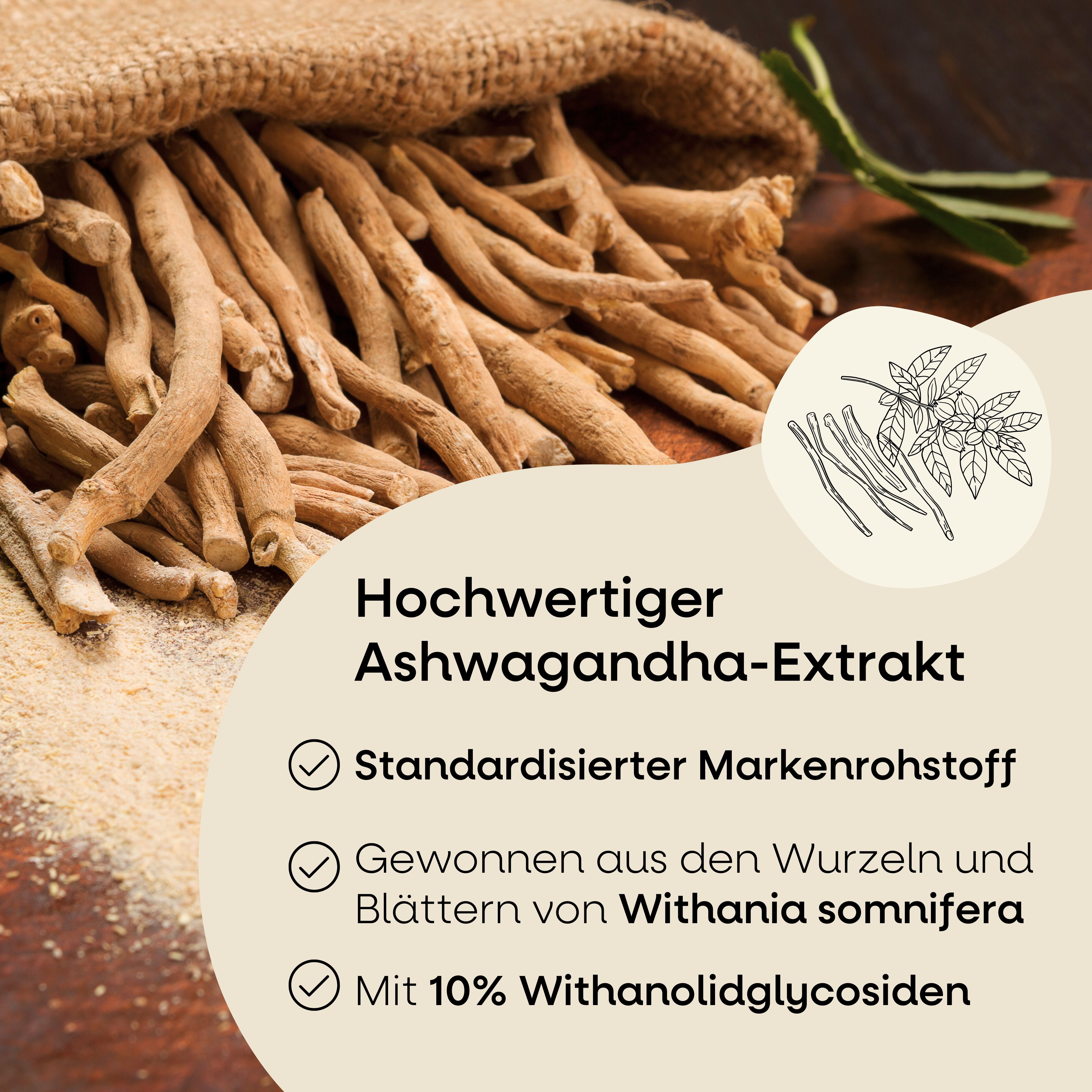 Ashwagandha Gummies Nature's Way