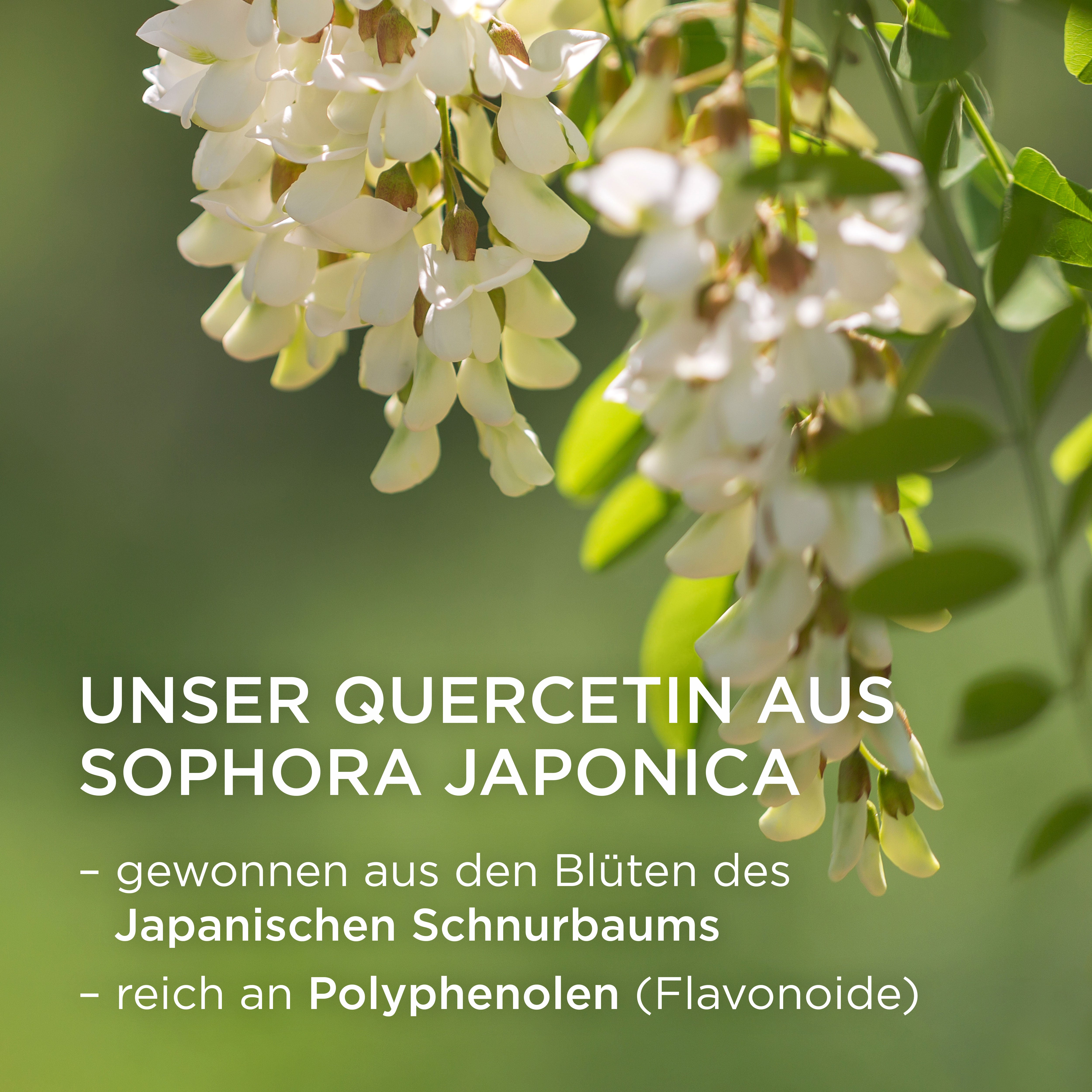 Quercetin Supplement Nature's Way