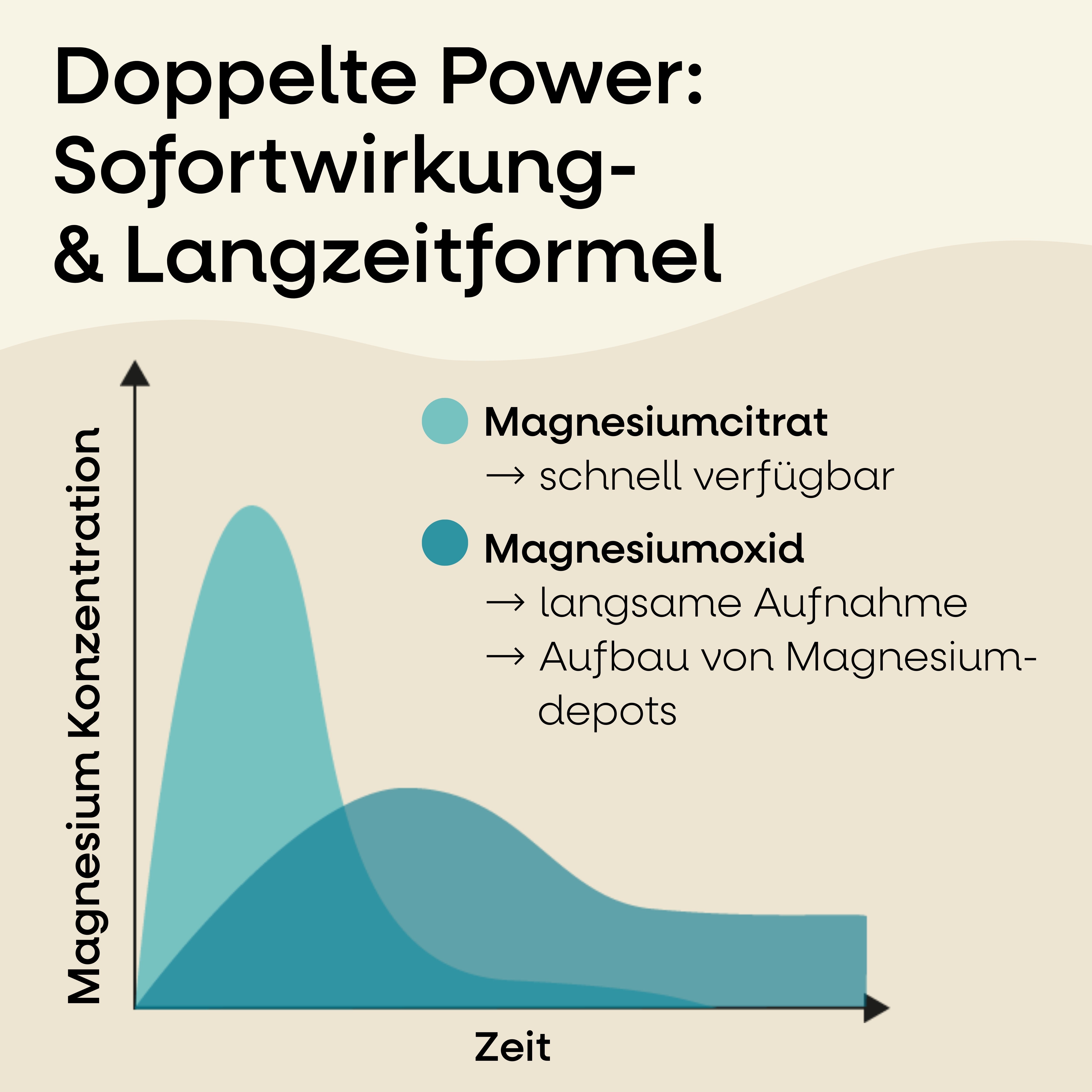 Magnesium Komplex Nature's Way