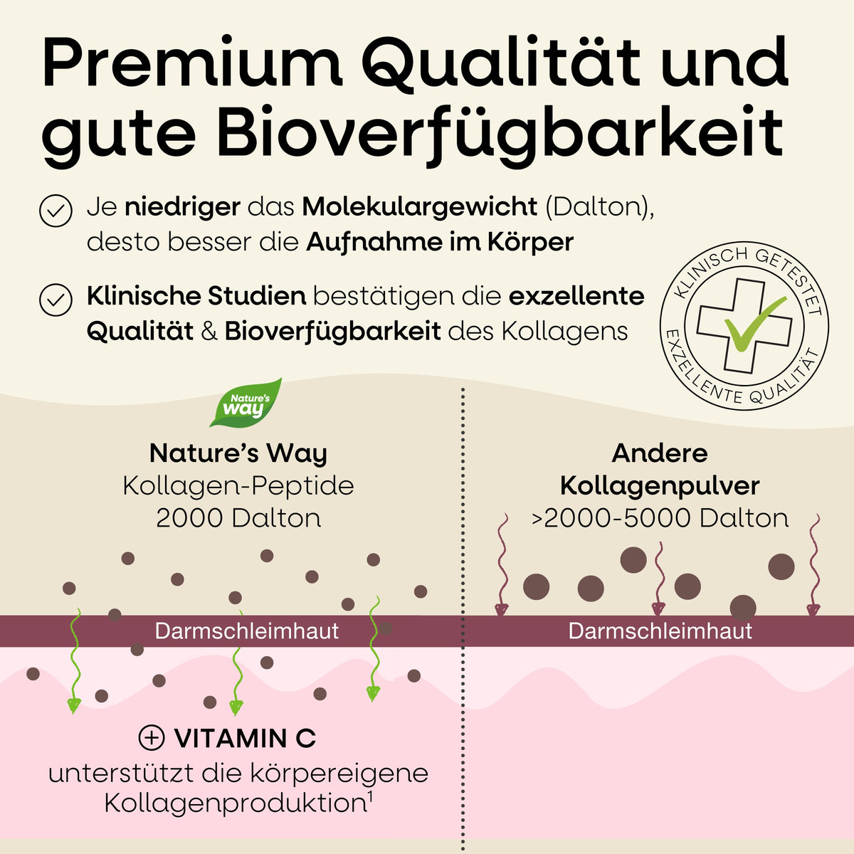 Kollagen Pulver Natures Way
