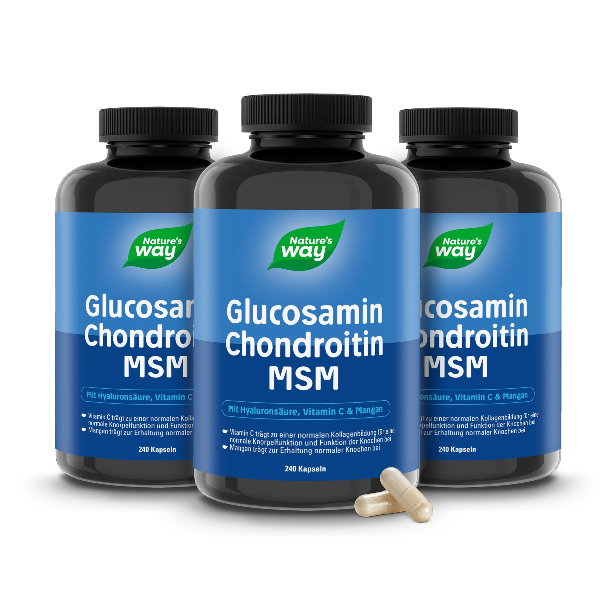 Glucosamin Chondroitin MSM Nature's Way