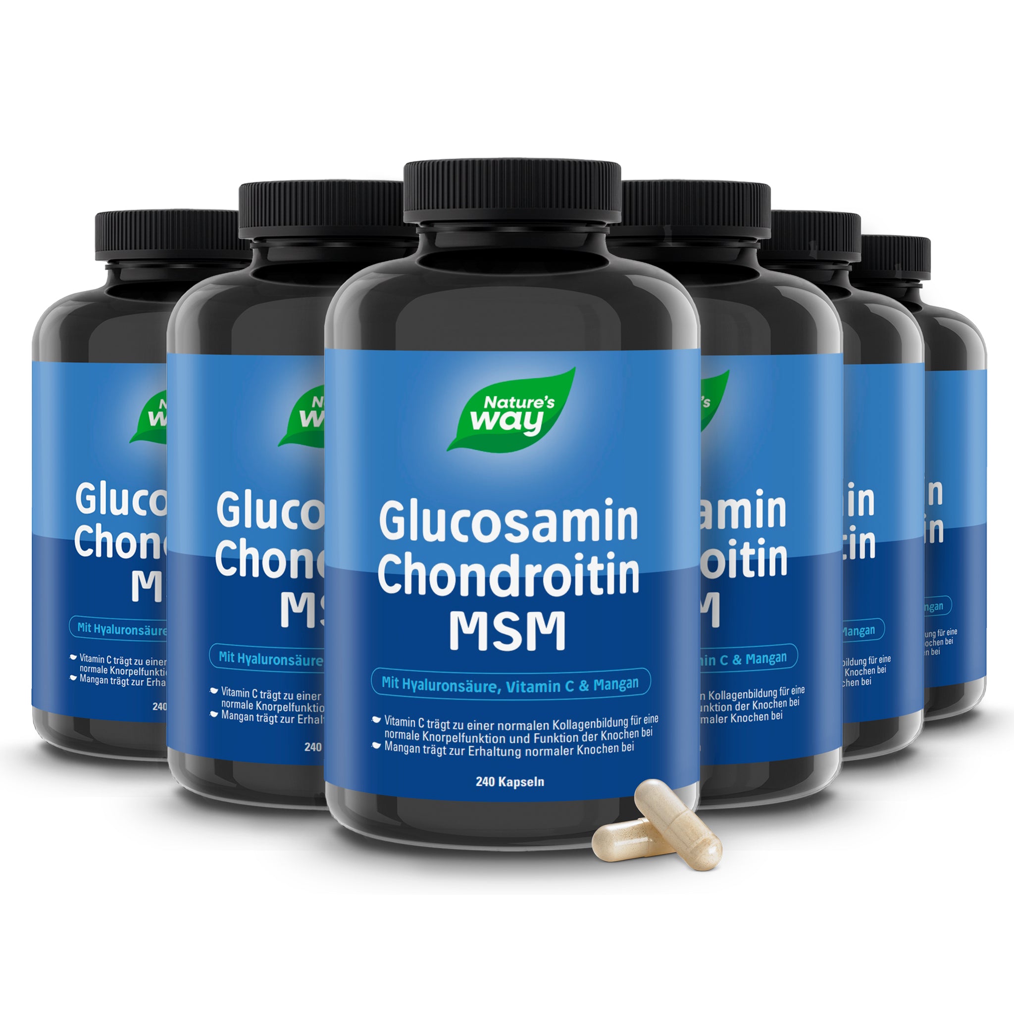 Glucosamin Chondroitin MSM Nature's Way