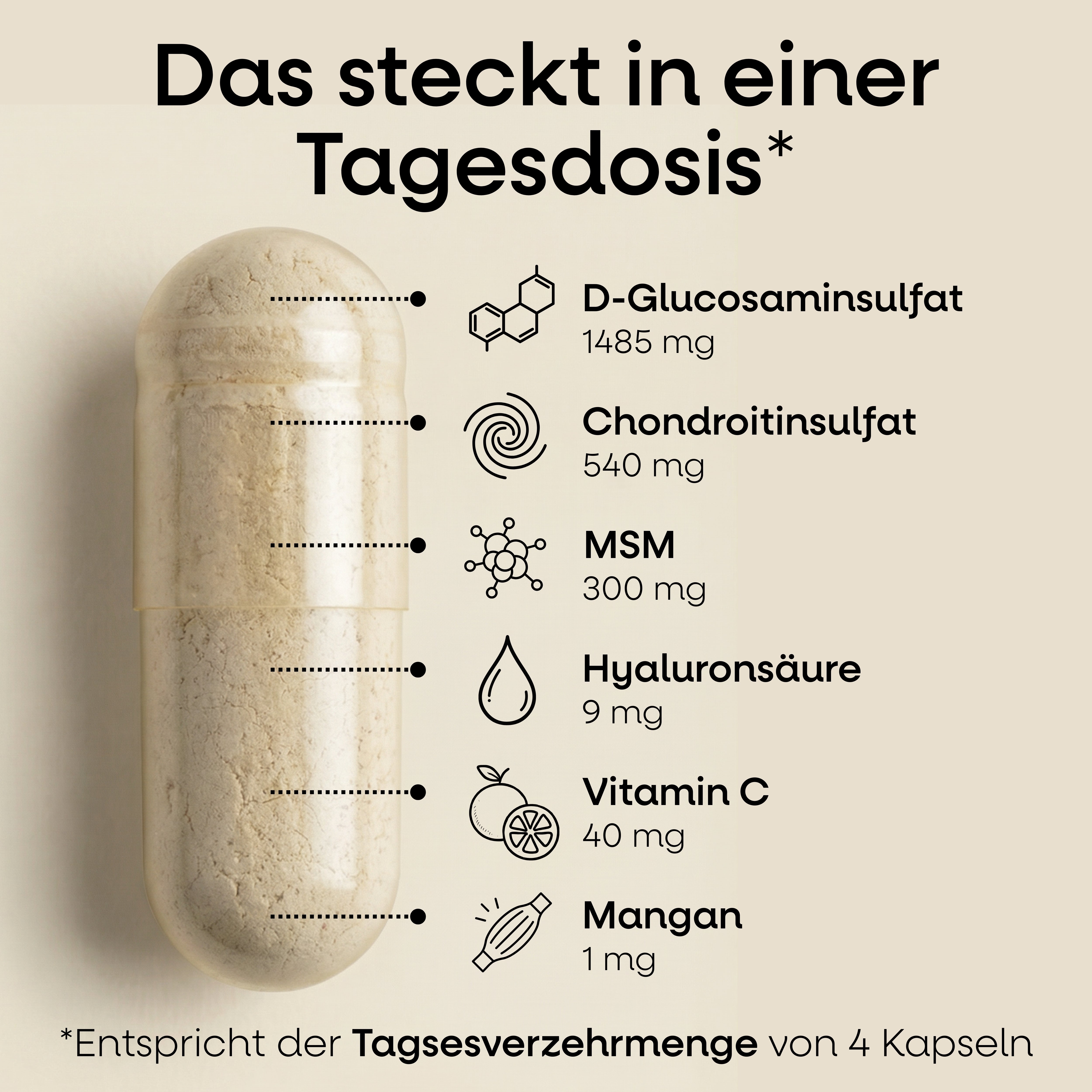 Glucosamin Chondroitin MSM Kapseln Nature's Way