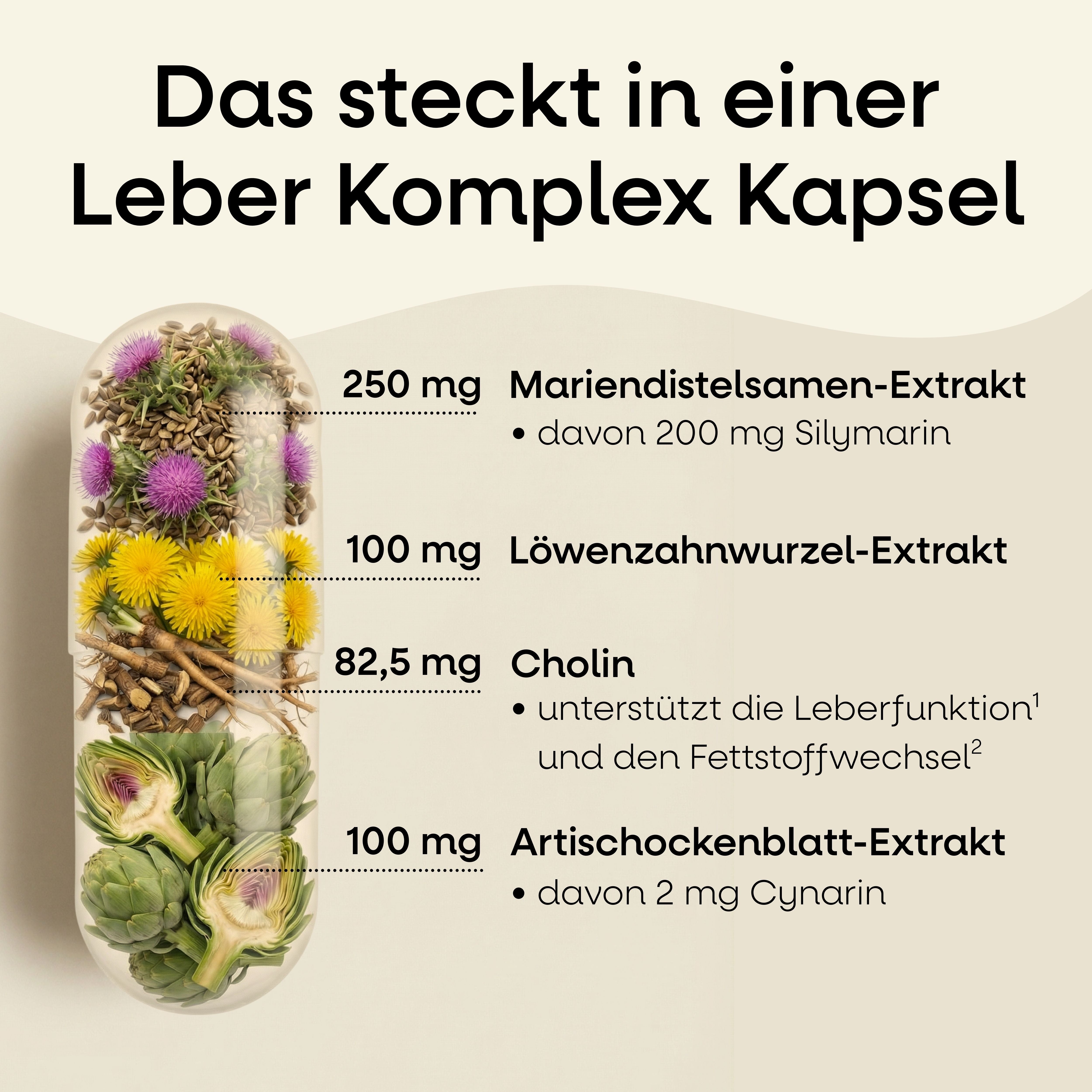 Leber mit Mariendistel Nature's Way