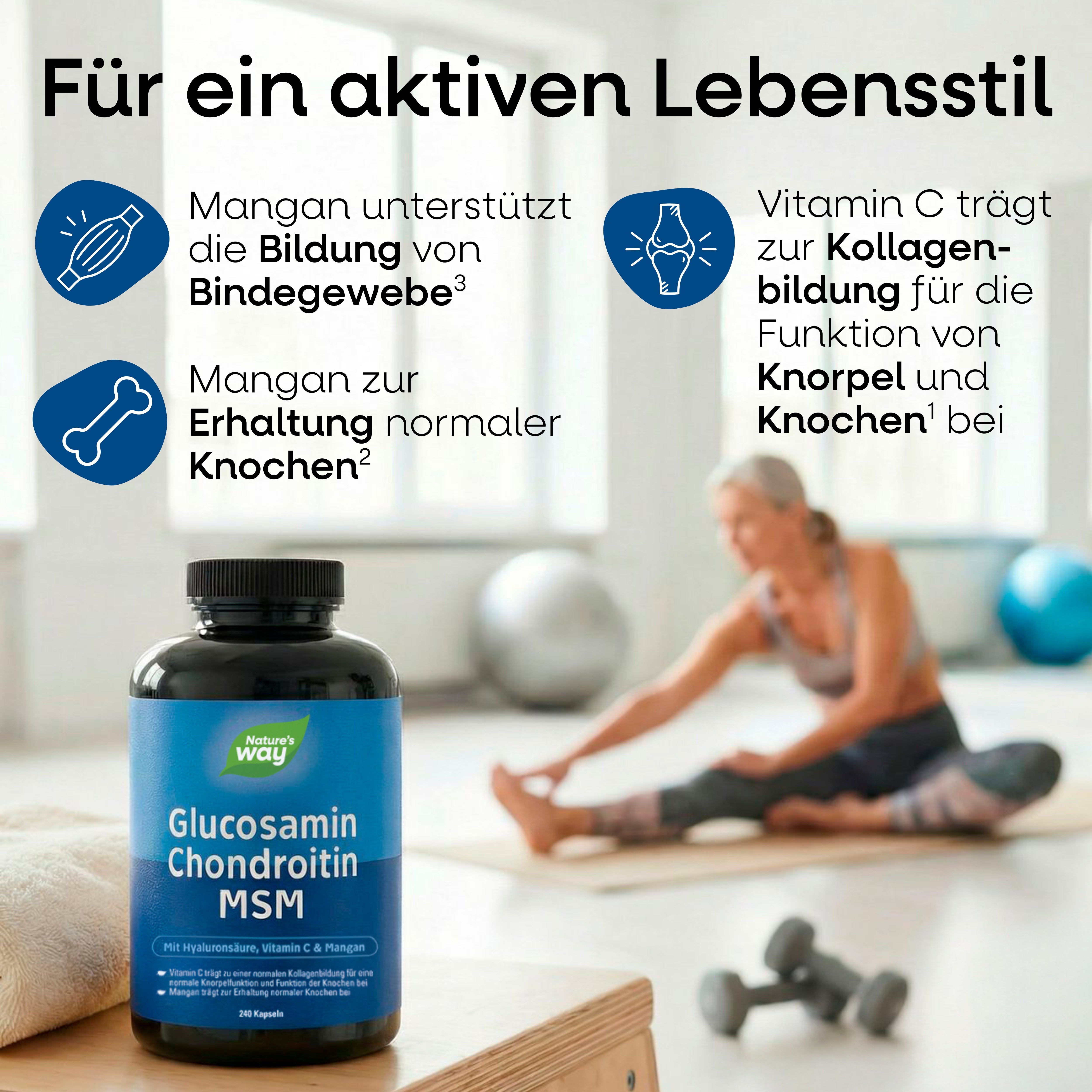 Glucosamin Chondroitin MSM Kapseln Nature's Way