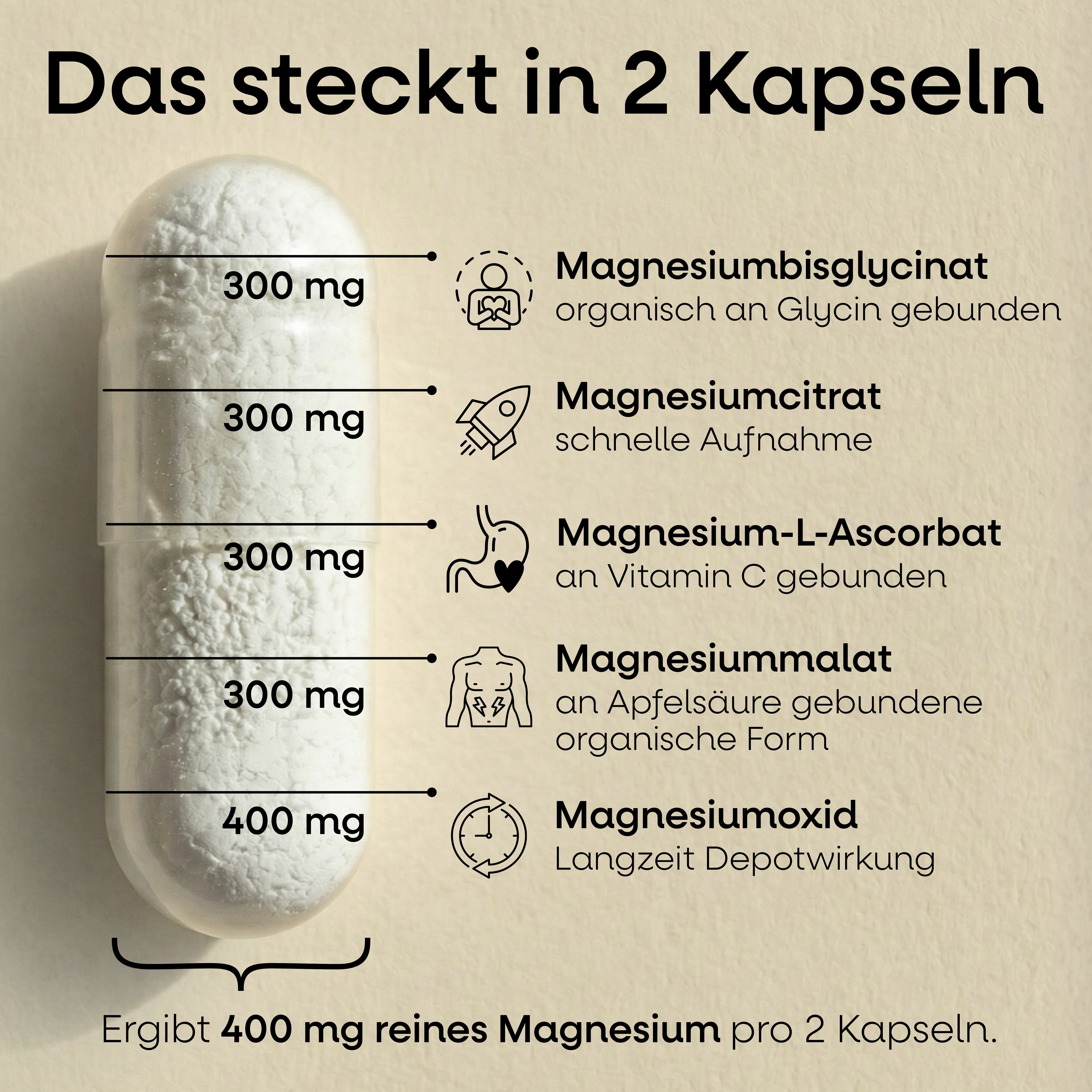 Magnesium Komplex Nature's Way