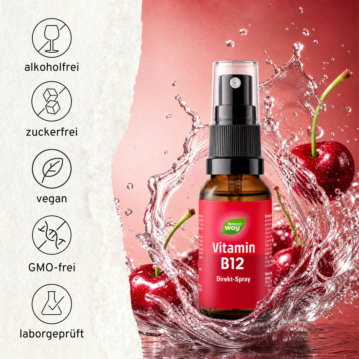 Vitamin B12 Spray Nature's Way