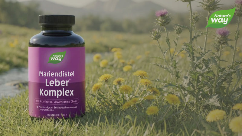 Leber mit Mariendistel Nature's Way