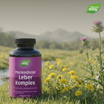 Leber mit Mariendistel Nature's Way