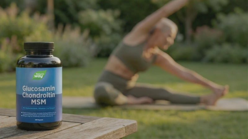 Glucosamin Chondroitin MSM Kapseln Nature's Way